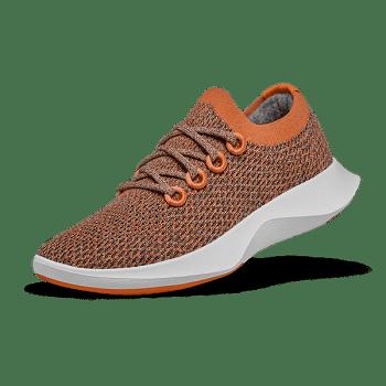 Allbirds Tree Dasher 1 Laufschuhe Damen Braun | CHNEJ57075