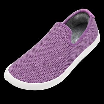 Allbirds Tree Loungers Slip-Ons Damen Lila | CHCVG26386