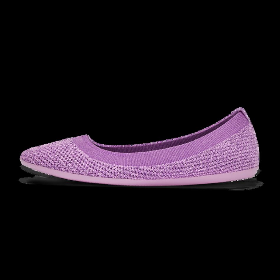 Allbirds Tree Breezers Slip-Ons Damen Lila | BCHSO12966